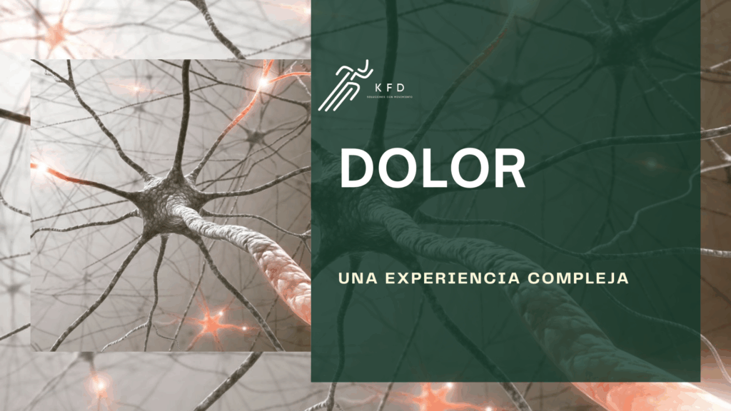Se muestra neuronas con el logo de KFD y diciendo que el Dolor es una experiencia sensorial